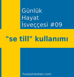 İsveççe'de 'se till' kullanımı