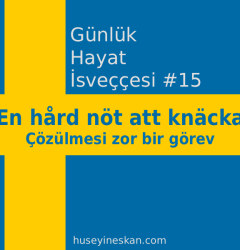 Günlük Hayat İsveççesi #15 - "En hård nöt att knäcka" ifadesi