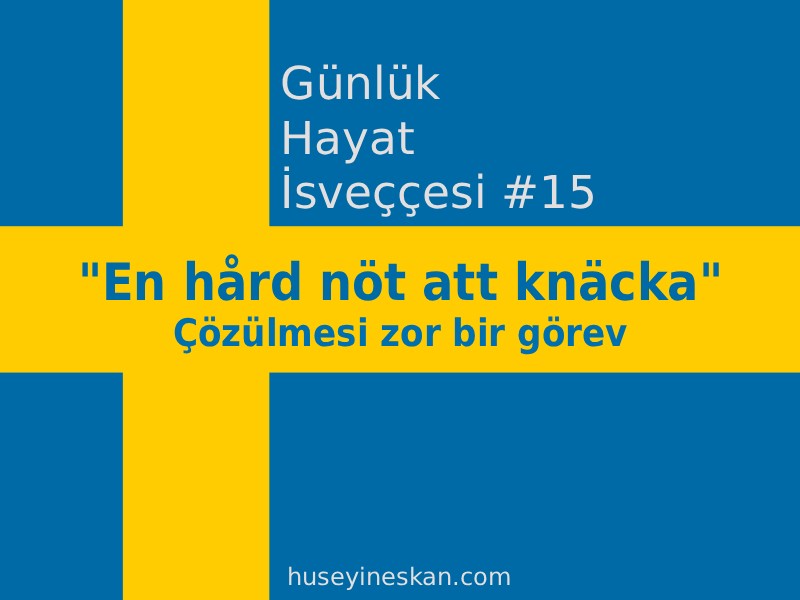Günlük Hayat İsveççesi #15 - "En hård nöt att knäcka" ifadesi